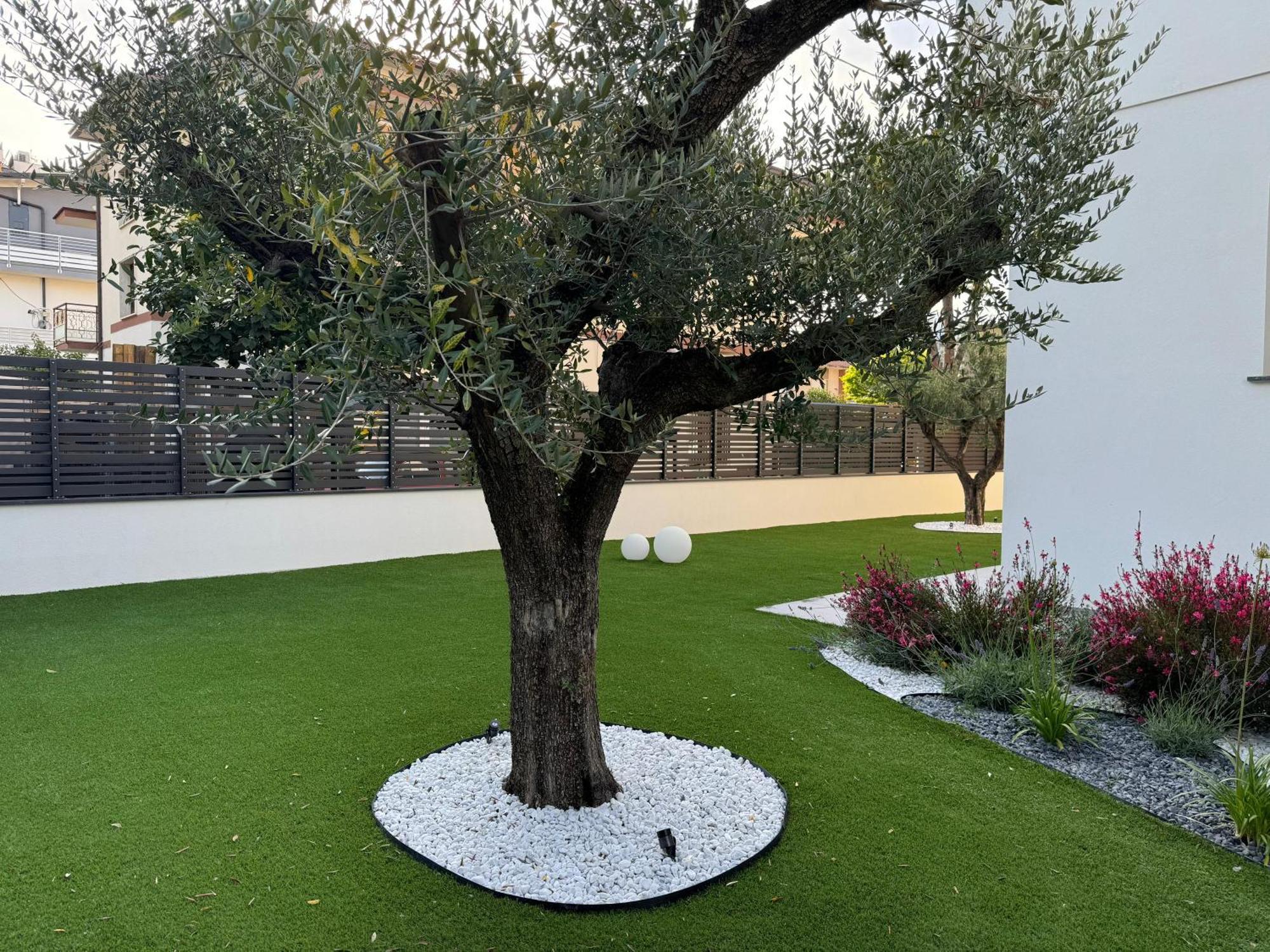 B&B Room47 Alba Adriatica Exterior photo